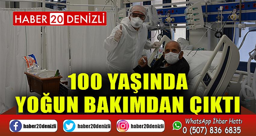 Asırlık Çınar Yoğun Bakımdan Servise Sağlıkla Gönderildi