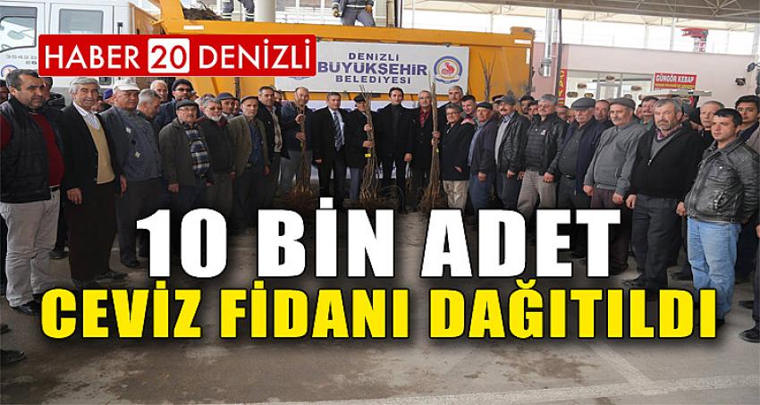 10 BİN ADET CEVİZ FİDANI DAĞITILDI