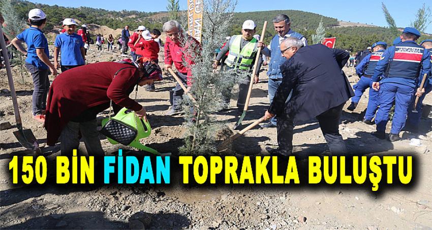 150 BİN FİDAN TOPRAKLA BULUŞTU