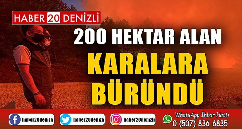 200 hektar alan karalara büründü