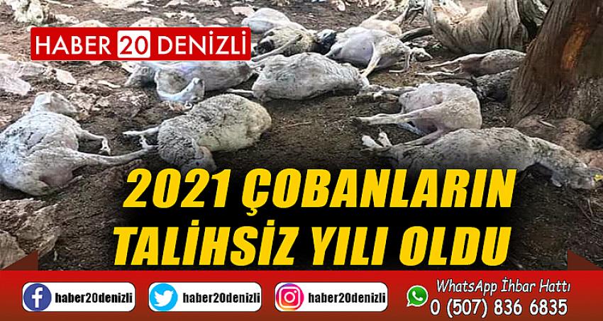 2021 çobanların talihsiz yılı oldu