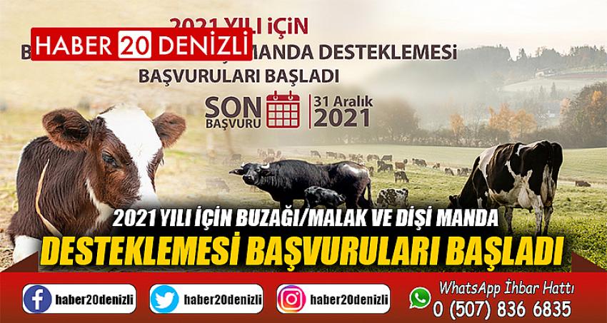 2021 YILI İÇİN BUZAĞI/MALAK VE DİŞİ MANDA DESTEKLEMESİ BAŞVURULARI BAŞLADI