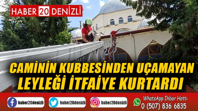 Caminin kubbesinden uçamayan leyleği itfaiye kurtardı