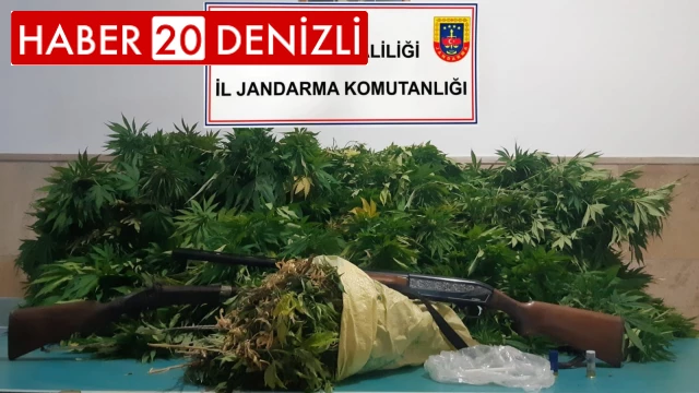 Jandarmanın operasyon düzenlediği evden 2,6 kilo esrar çıktı