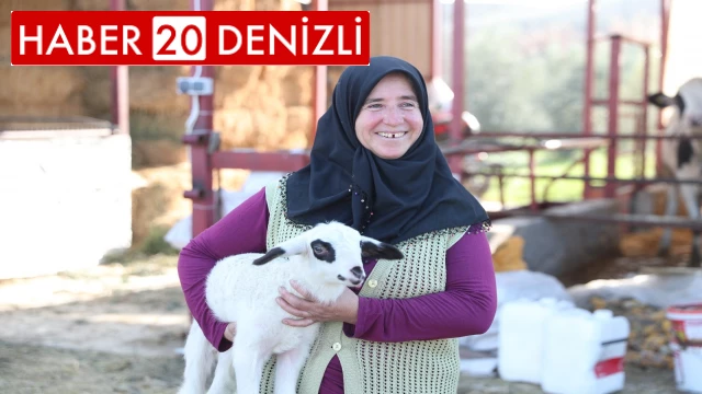 Merkezefendi’de küçükbaş hayvan desteği kayıtları başlıyor