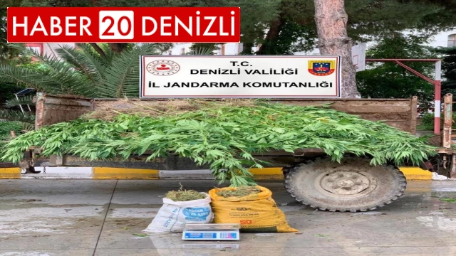 Sarayköy'de 13 kilo esrar, 1380 kök kenevir yakalandı