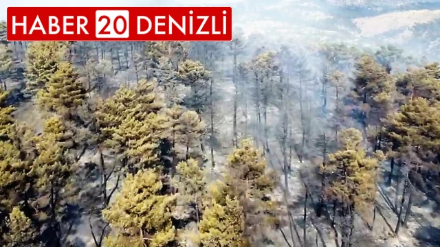 Denizli’deki orman yangını kontrol altına alındı