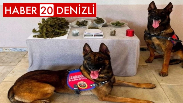 Denizli jandarması kaçakçılara göz açtırmıyor