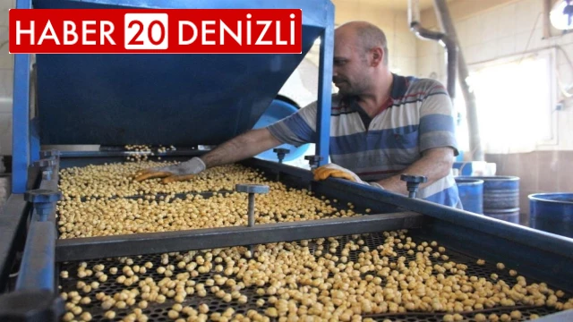 Denizli’nin sarı incisi ihracatta Türkiye birincisi