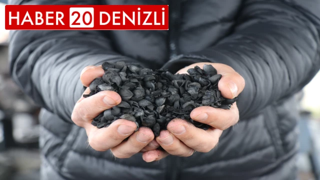 İthal edilen kömürü, onlarca denemenin ardından fındık kabuğundan üretti