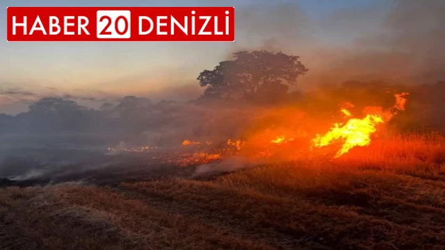 Denizli'nin Bekilli ilçesinde çıkan yangın söndürüldü