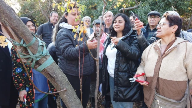 GÖNÜLLÜ ÇEVRECİLER BUDAMA VE AŞILAMA EĞİTİMİ ALDI