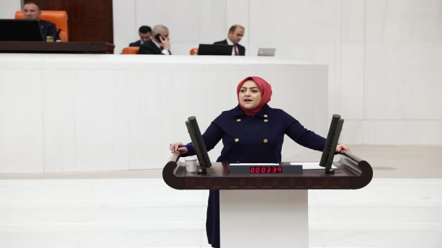 MİLLETVEKİLİ ÜN, DENİZLİ İHRACATÇISININ LOJİSTİK SORUNUNU MECLİSE TAŞIDI