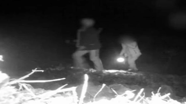 Denizli’de 3 kaçak avcı gece avında fotokapanla yakalandı