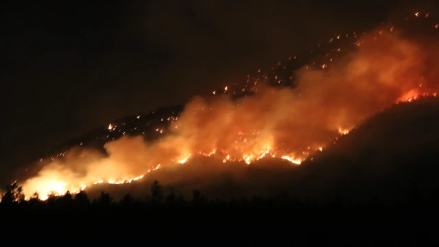 Denizli’de orman yangınına gece karadan müdahale sürüyor