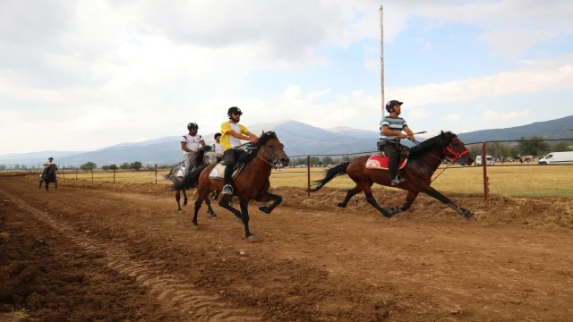 Tavas'ta 132 rahvan at, Kızılca Pisti'nin tozunu atttırdı