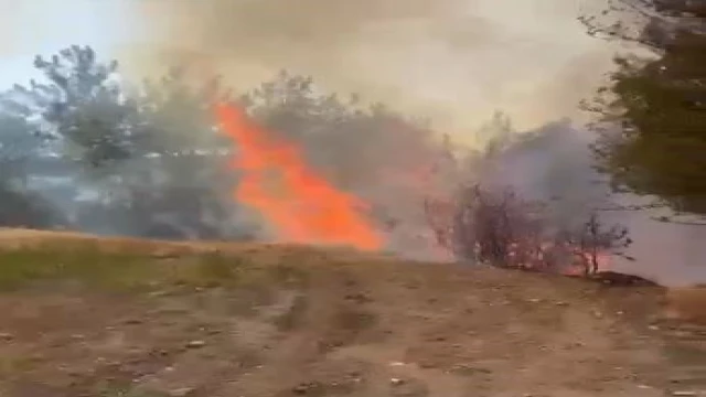 Buldan’daki orman yangınına havadan müdahale başladı