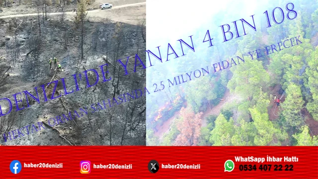 Denizli'de yanan 4 bin 108 hektar orman sahasında 2,5 milyon fidan yeşerecek