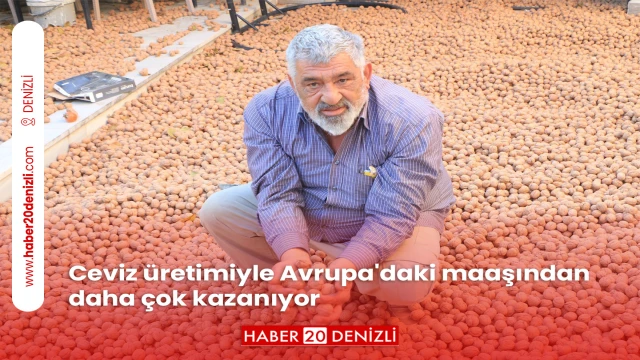 Ceviz üretimiyle Avrupa'daki maaşından daha çok kazanıyor