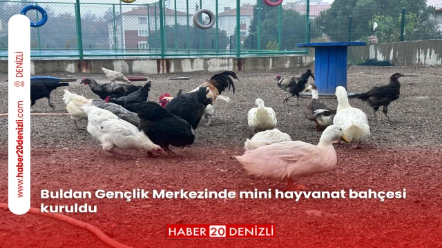 Buldan Gençlik Merkezinde mini hayvanat bahçesi kuruldu