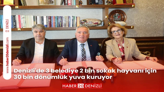 Denizli'de 3 belediye 2 bin sokak hayvanı için 30 bin dönümlük yuva kuruyor