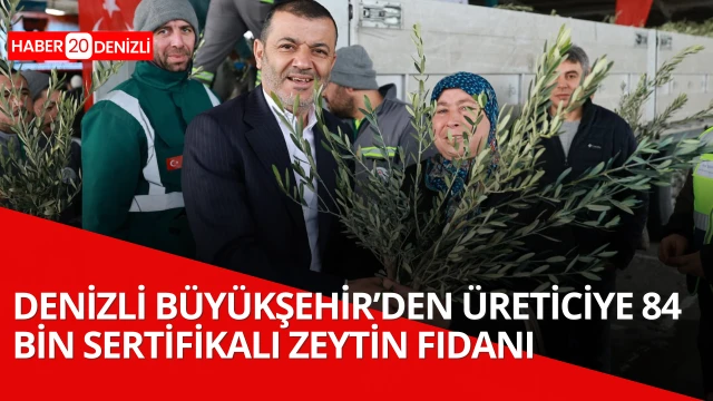 Denizli Büyükşehir’den üreticiye 84 bin sertifikalı zeytin fidanı