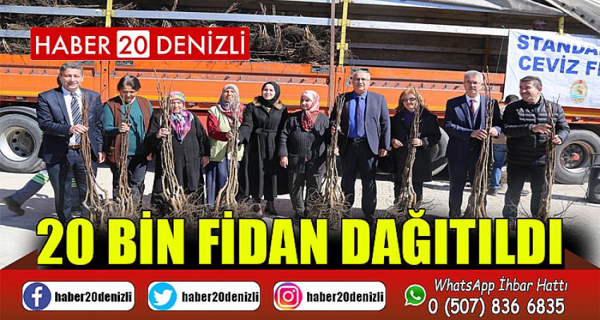 20 BİN FİDAN DAĞITILDI