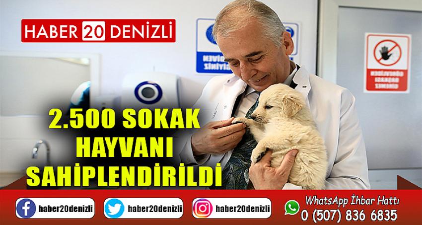 2.500 sokak hayvanı sahiplendirildi