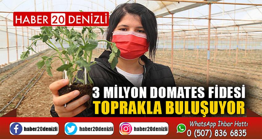 3 milyon domates fidesi toprakla buluşuyor