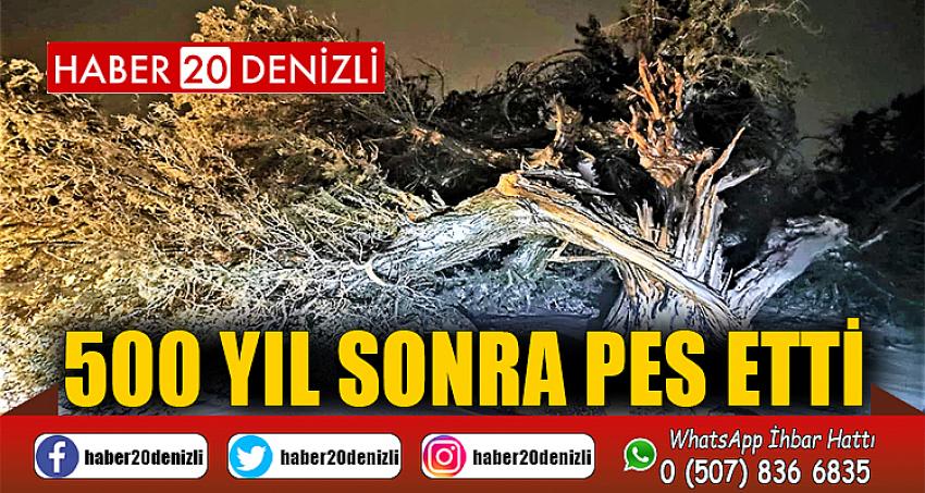 500 yıl sonra pes etti