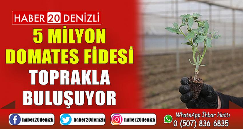 5 MİLYON DOMATES FİDESİ TOPRAKLA BULUŞUYOR