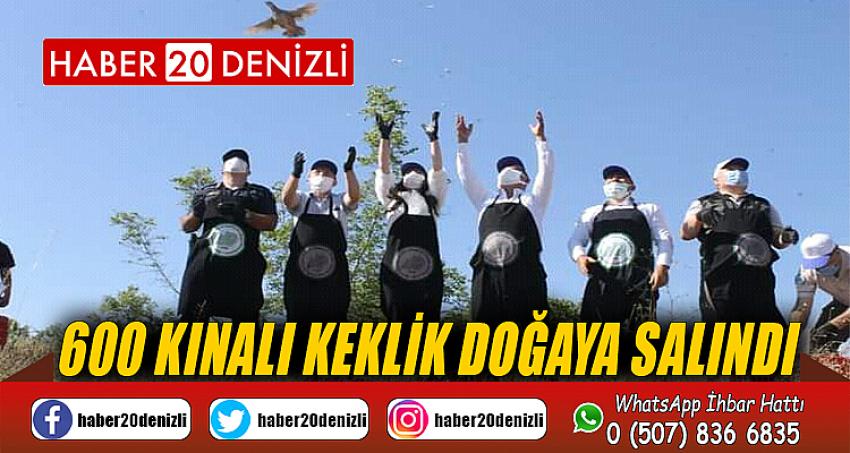 600 kınalı keklik doğaya salındı