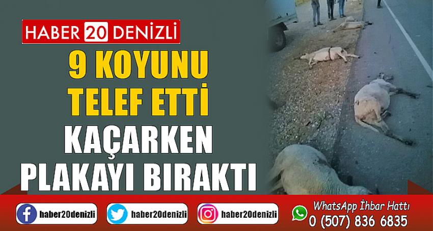 9 koyunu telef etti, kaçarken plakayı bıraktı