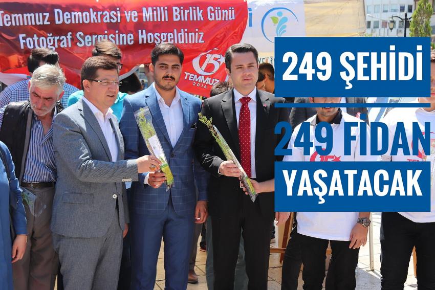 249 ŞEHİT 249 FİDAN