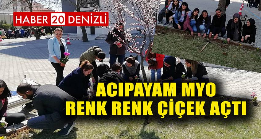 Acıpayam MYO Renk Renk Çiçek Açtı