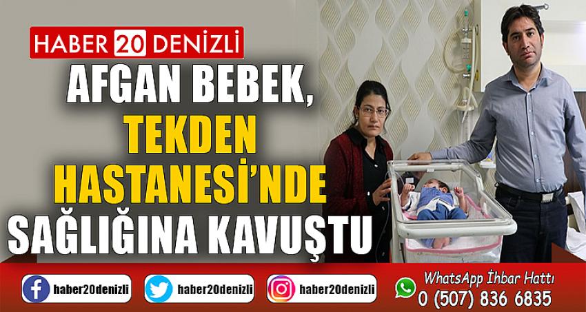 Afgan bebek, Tekden Hastanesi’nde sağlığına kavuştu