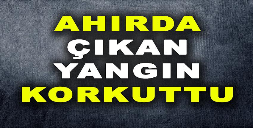 AHIRDA ÇIKAN YANGIN KORKUTTU