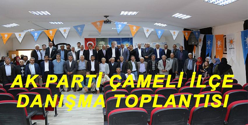 AK PARTİ ÇAMELİ İLÇE DANIŞMA TOPLANTISI 