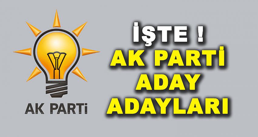 AK PARTİ ADAY ADAYLARI