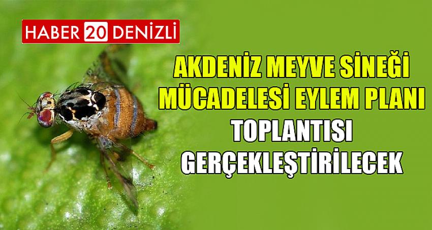 Akdeniz Meyve Sineği Mücadelesi Eylem Planı Toplantısı Gerçekleştirilecek