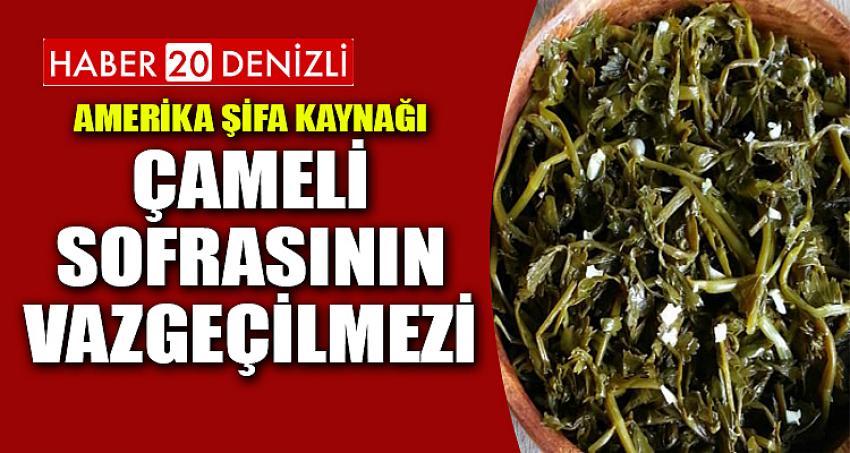 Amerika Şifa Kaynağı Çameli Sofrasının Vazgeçilmezi