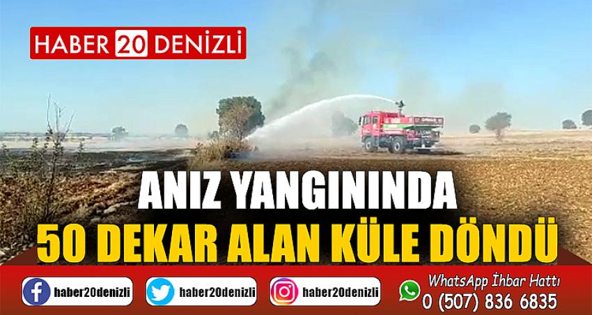 Anız yangınında 50 dekar alan küle döndü