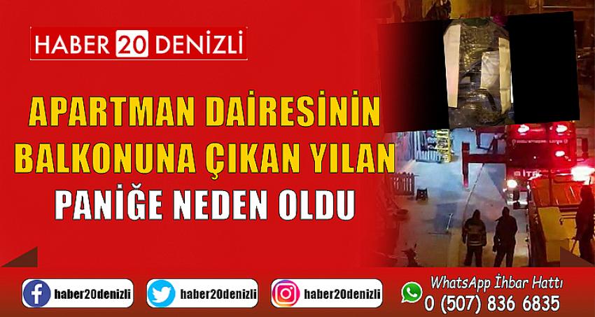 Apartman dairesinin balkonuna çıkan yılan paniğe neden oldu