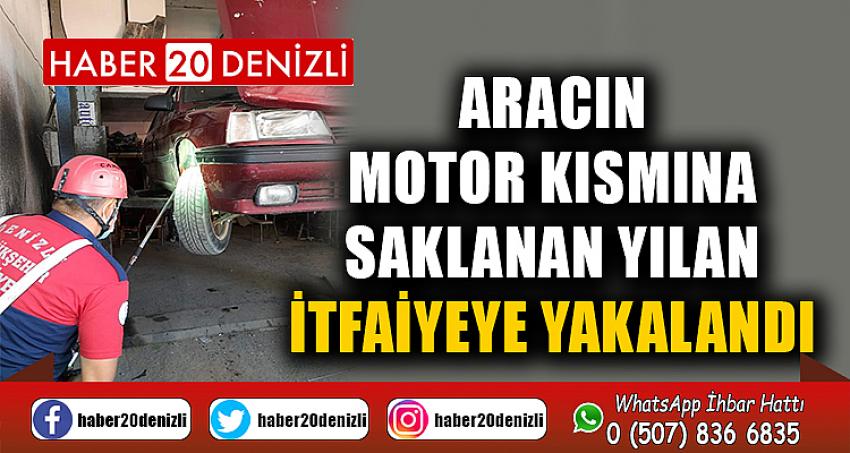 Aracın motor kısmına saklanan yılan, itfaiyeye yakalandı