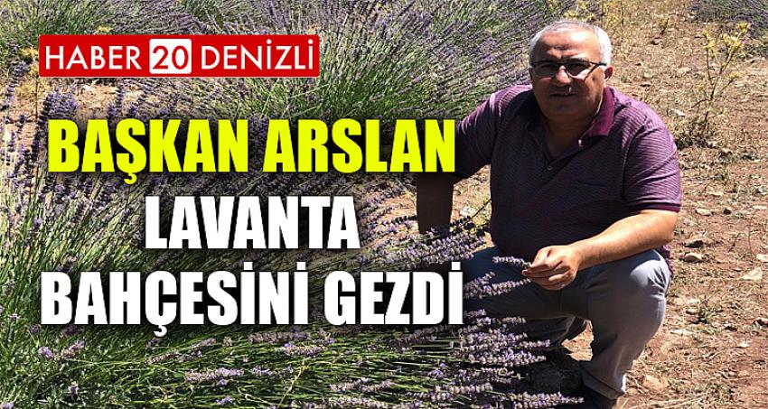 Başkan Arslan Lavanta Bahçesini Gezdi