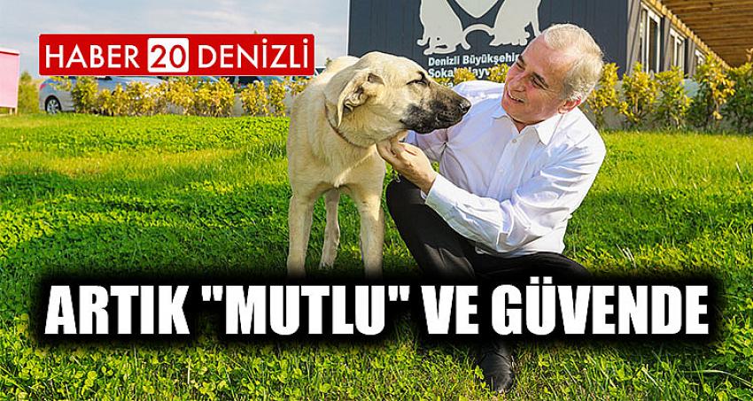 Artık "Mutlu" ve güvende 