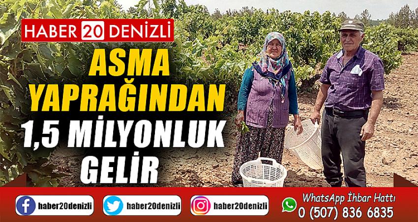 Asma yaprağından 1,5 milyonluk gelir