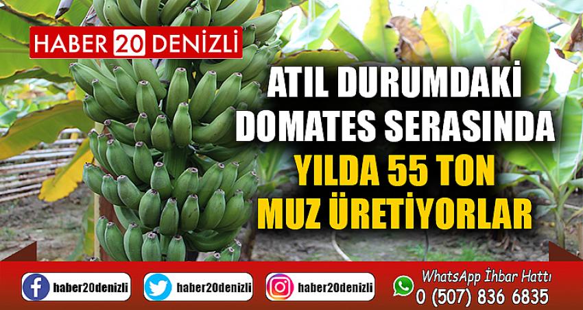 Atıl durumdaki domates serasında yılda 55 ton muz üretiyorlar
