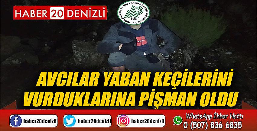 Avcılar yaban keçilerini vurduklarına pişman oldu