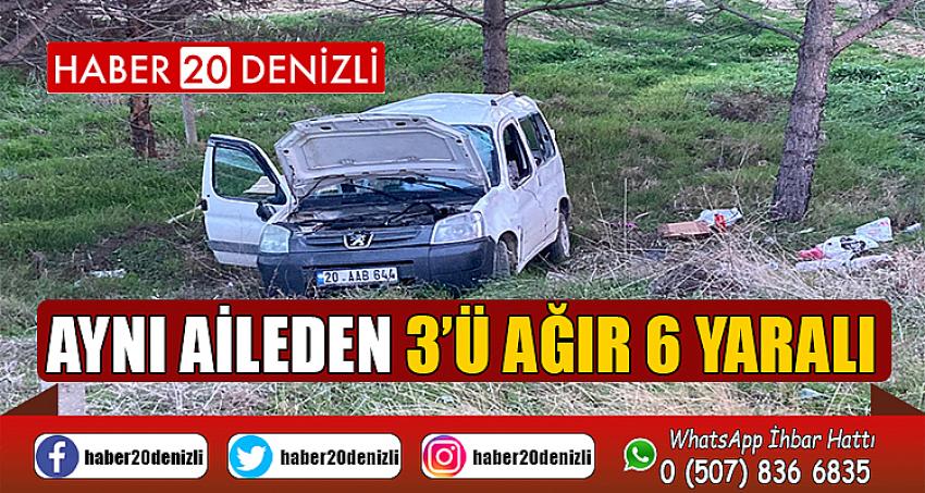 Takla atan ticari araç şarampole uçtu